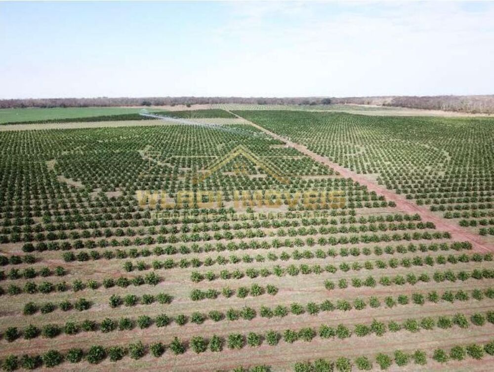 Fazenda, 158 m² - Foto 13