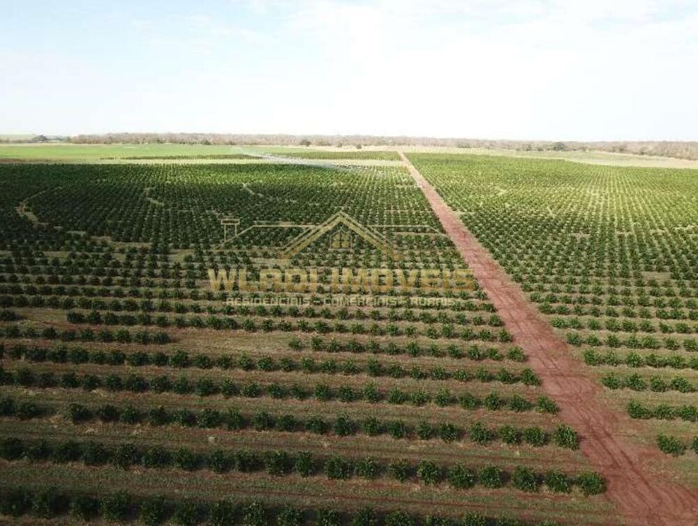 Fazenda, 158 m² - Foto 8