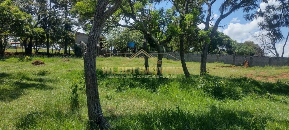 Chácara, 5000 m² - Foto 11