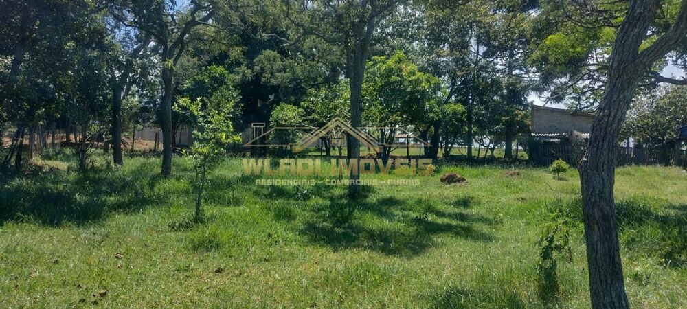 Chácara, 5000 m² - Foto 15