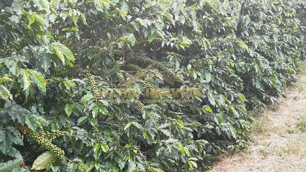 Fazenda, 21 m² - Foto 19