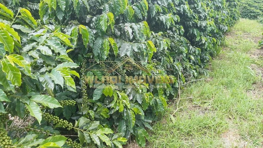 Fazenda, 21 m² - Foto 16