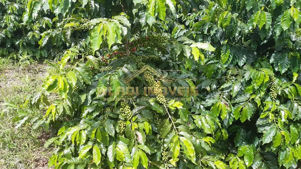 Fazenda, 21 m² - Foto 7