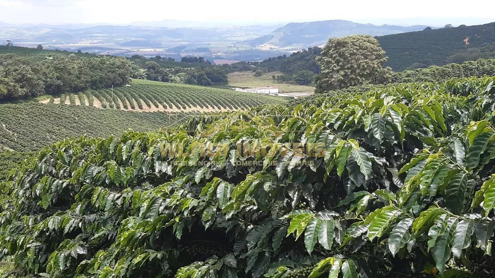 Fazenda, 21 m² - Foto 5