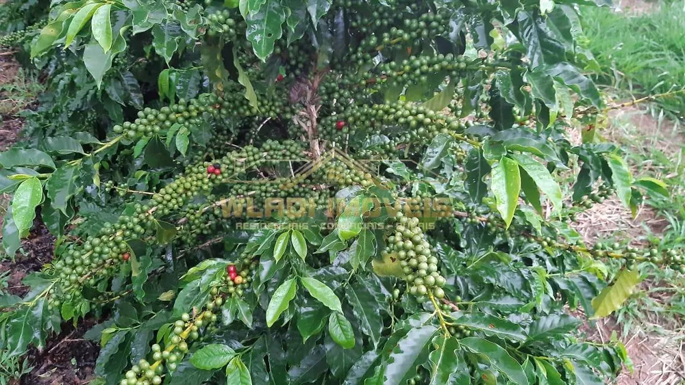 Fazenda, 21 m² - Foto 10