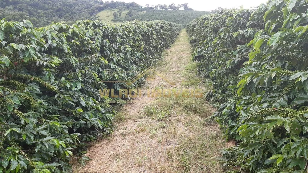 Fazenda, 21 m² - Foto 8