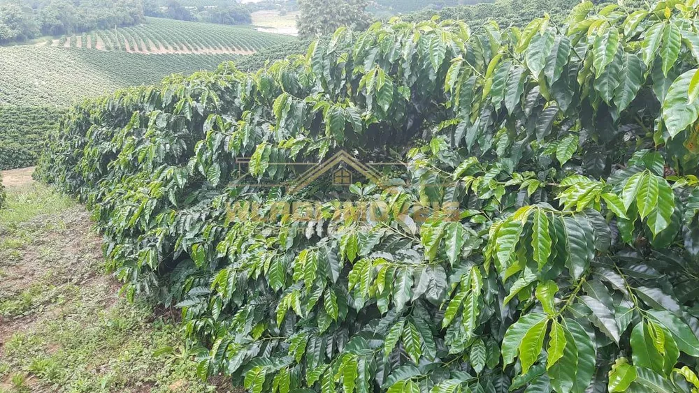 Fazenda, 21 m² - Foto 18