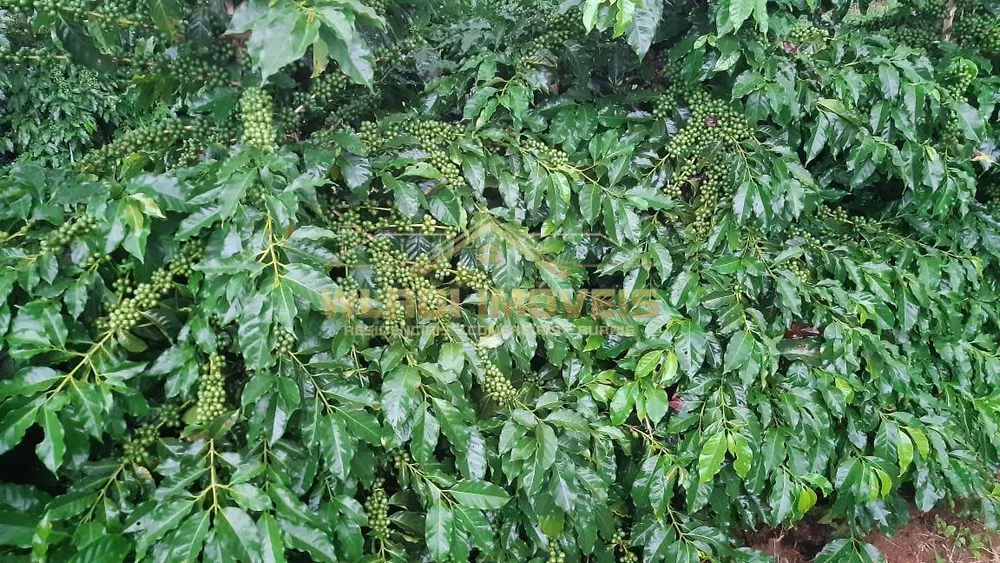 Fazenda, 21 m² - Foto 15