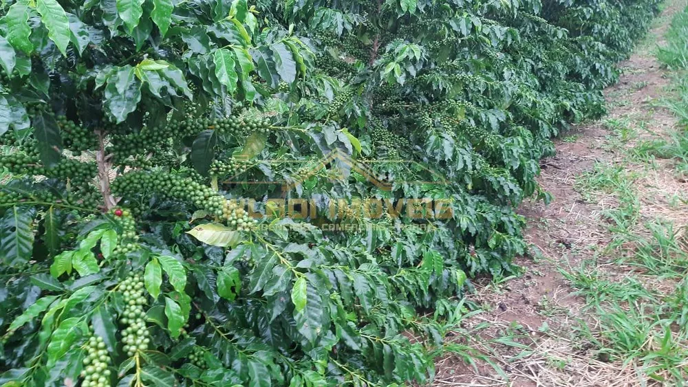 Fazenda, 21 m² - Foto 12
