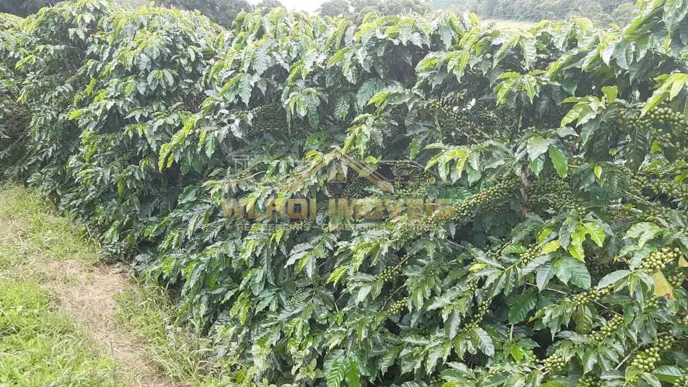 Fazenda, 21 m² - Foto 9