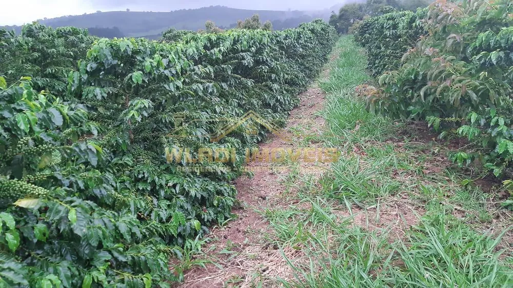 Fazenda, 21 m² - Foto 11