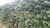 Fazenda, 21 m² - Foto 3