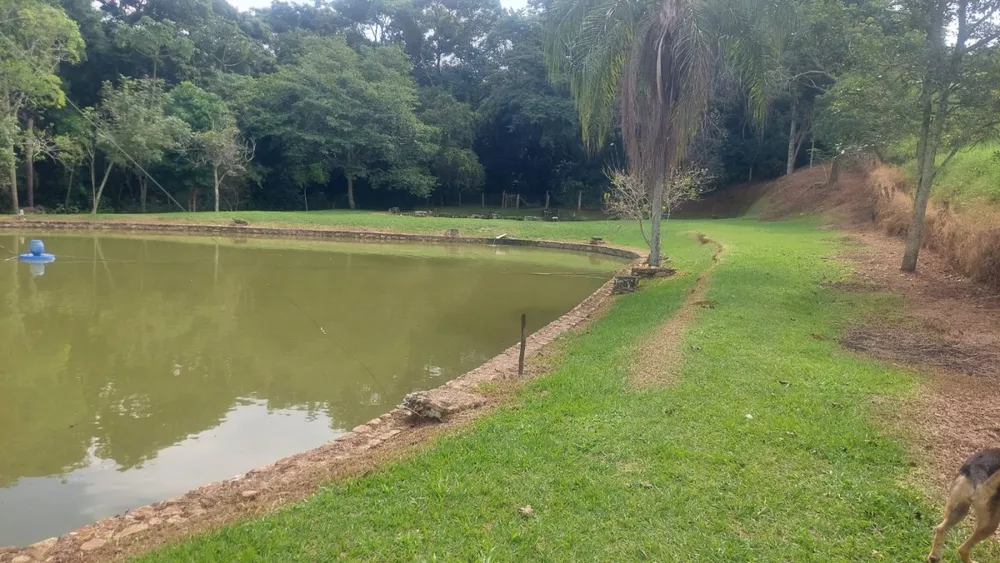 Sítio, 3 quartos, 4 m² - Foto 23