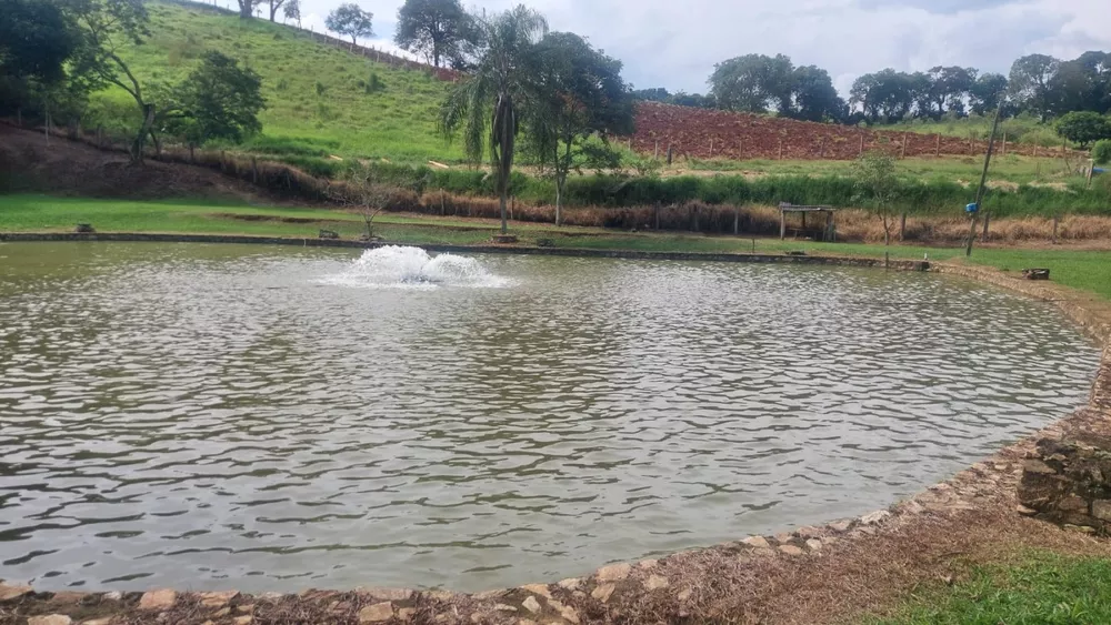 Sítio, 3 quartos, 4 m² - Foto 1