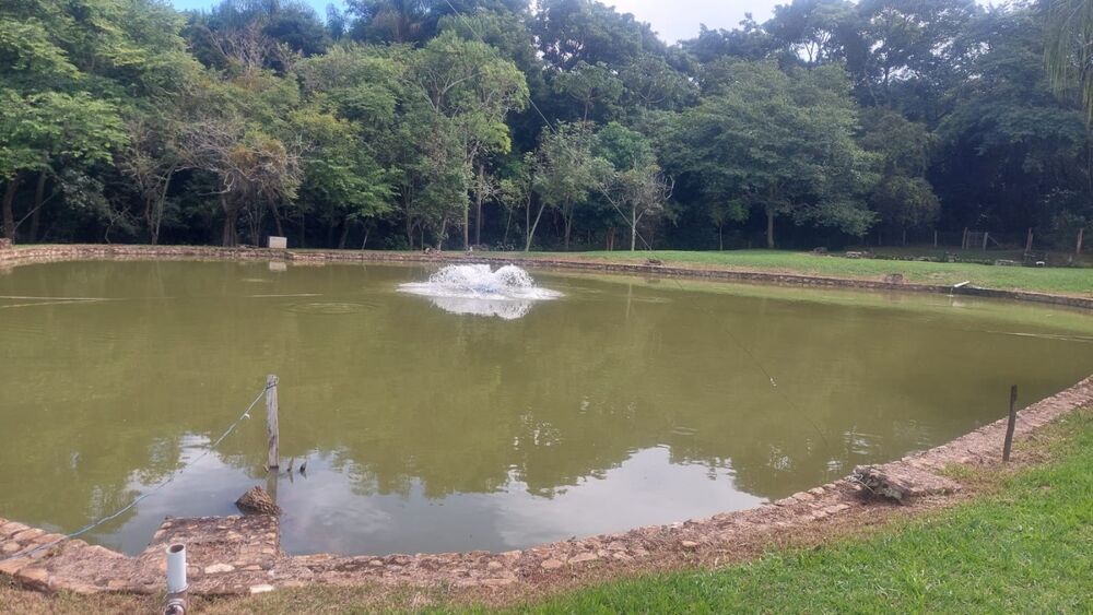 Sítio à venda com 3 quartos, 4m² - Foto 11