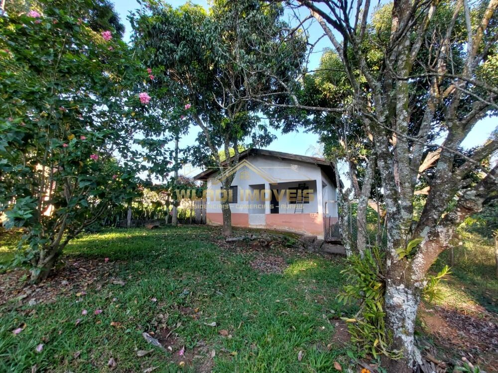 Chácara, 5 quartos, 2800 m² - Foto 3