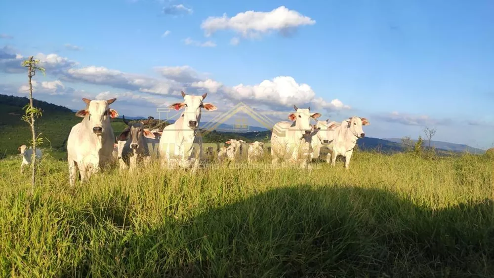 Fazenda à venda, 245m² - Foto 3