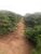 Fazenda-Sítio-Chácara, 104 m² - Foto 2