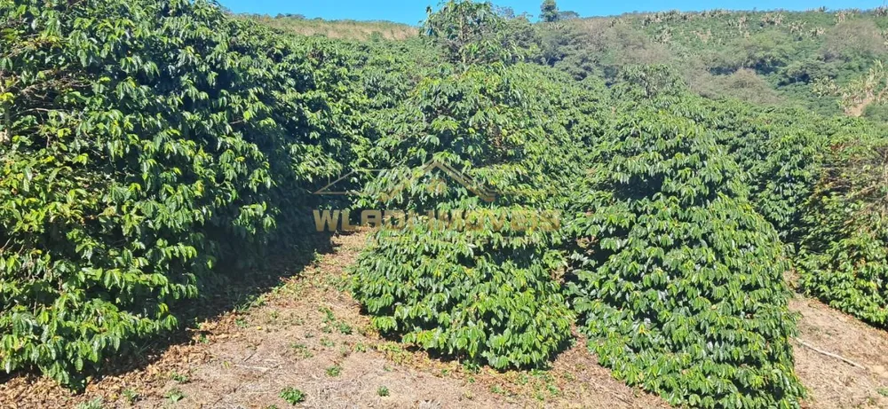 Fazenda, 32 m² - Foto 3