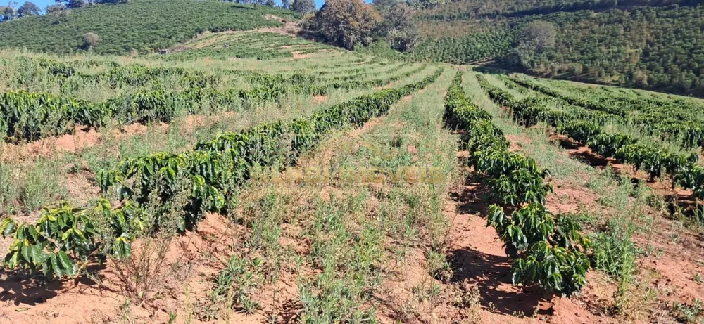 Fazenda, 32 m² - Foto 8