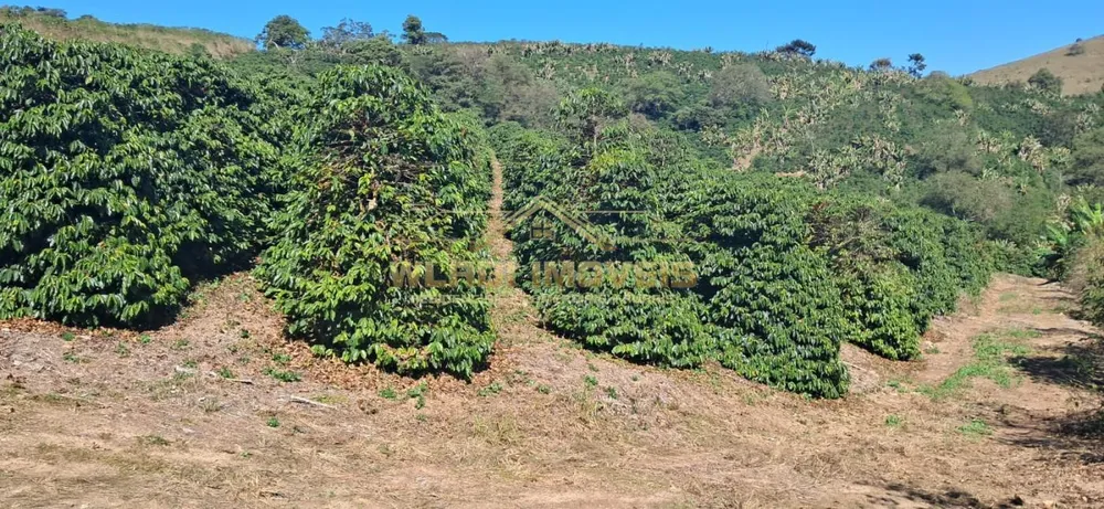 Fazenda, 32 m² - Foto 2