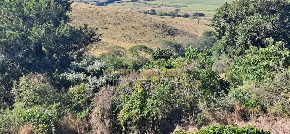 Fazenda, 32 m² - Foto 6