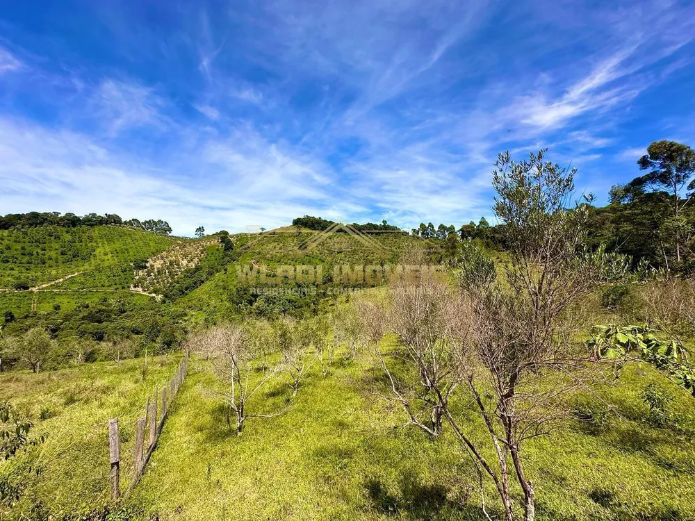 Sítio, 19 hectares - Foto 10