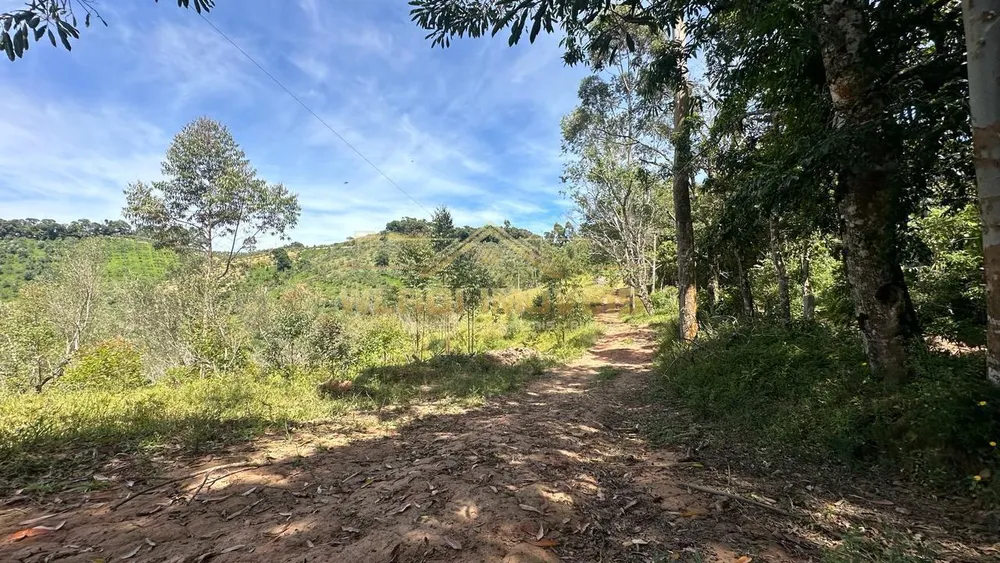 Sítio, 19 hectares - Foto 4