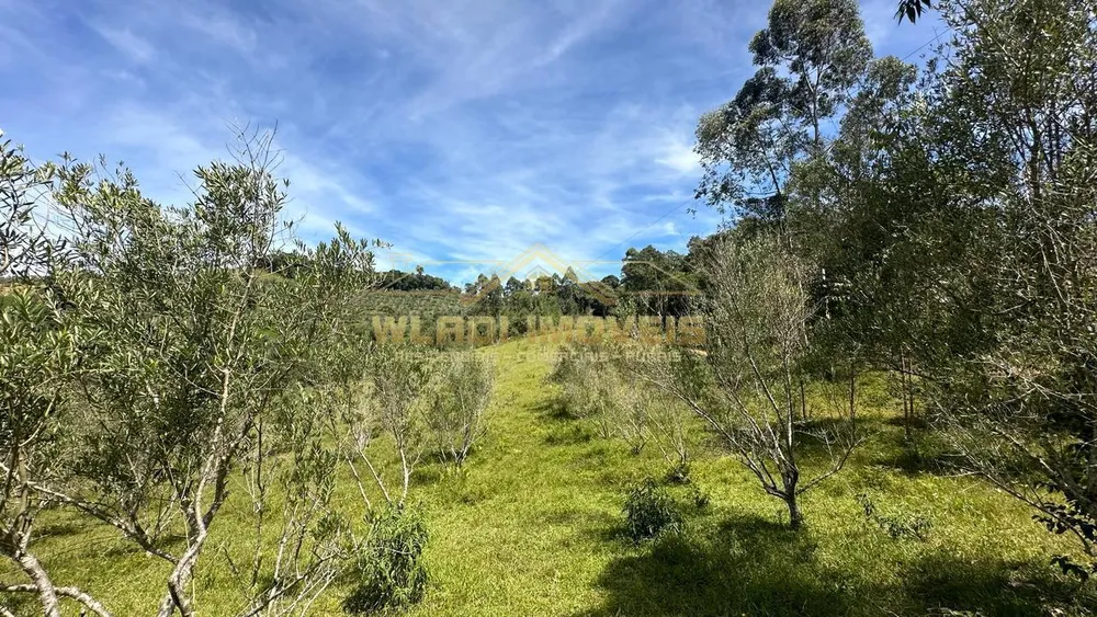 Sítio, 19 hectares - Foto 1