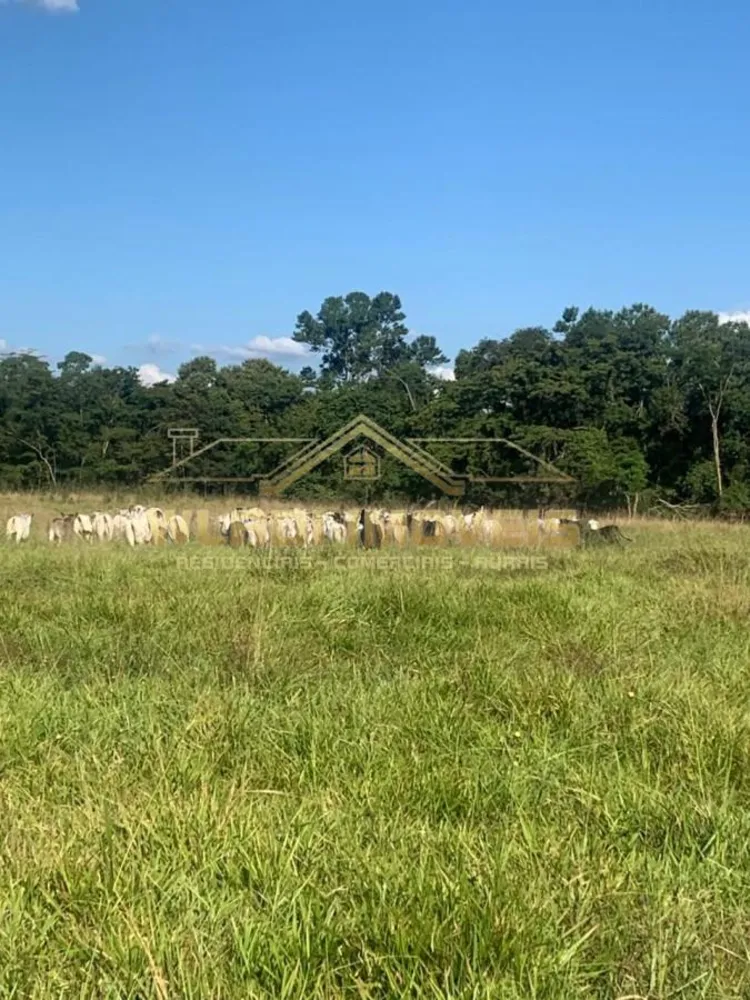 Fazenda, 770 m² - Foto 2