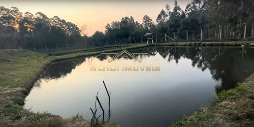 Sítio à venda com 3 quartos, 30000m² - Foto 2