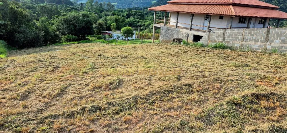 Terreno, 4890 m² - Foto 3