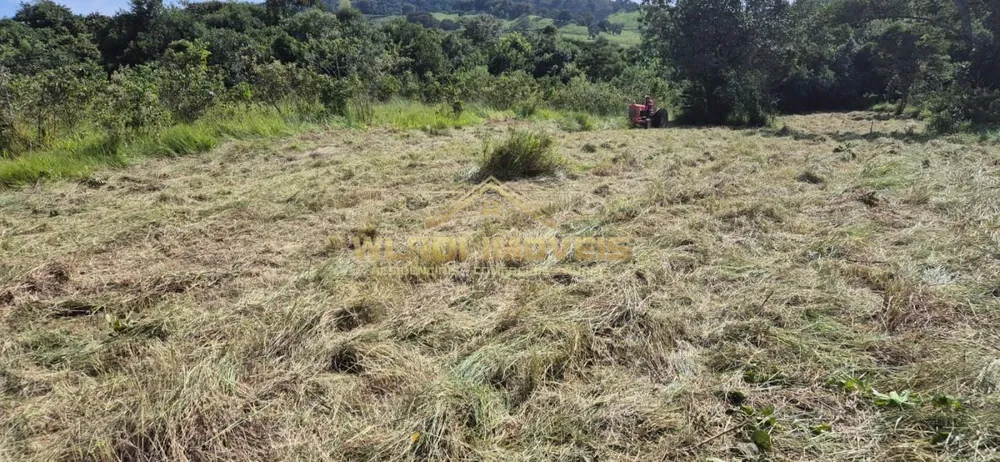 Terreno, 4890 m² - Foto 5