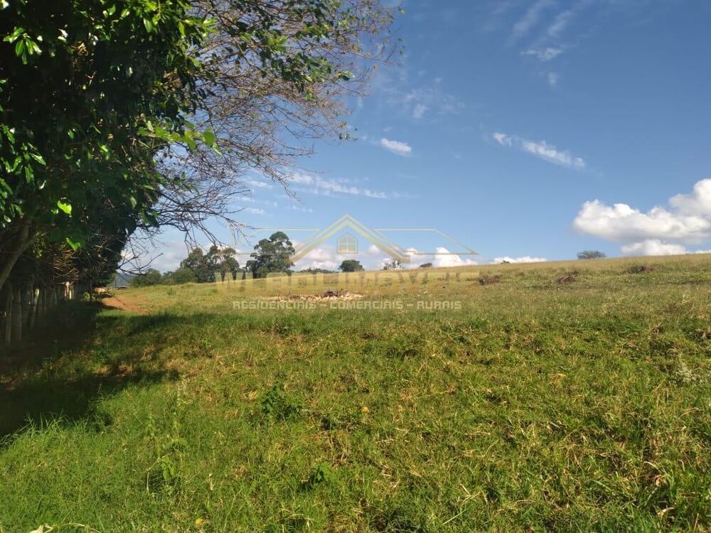 Fazenda, 15 hectares - Foto 4