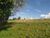 Fazenda-Sítio-Chácara, 15 hectares - Foto 4