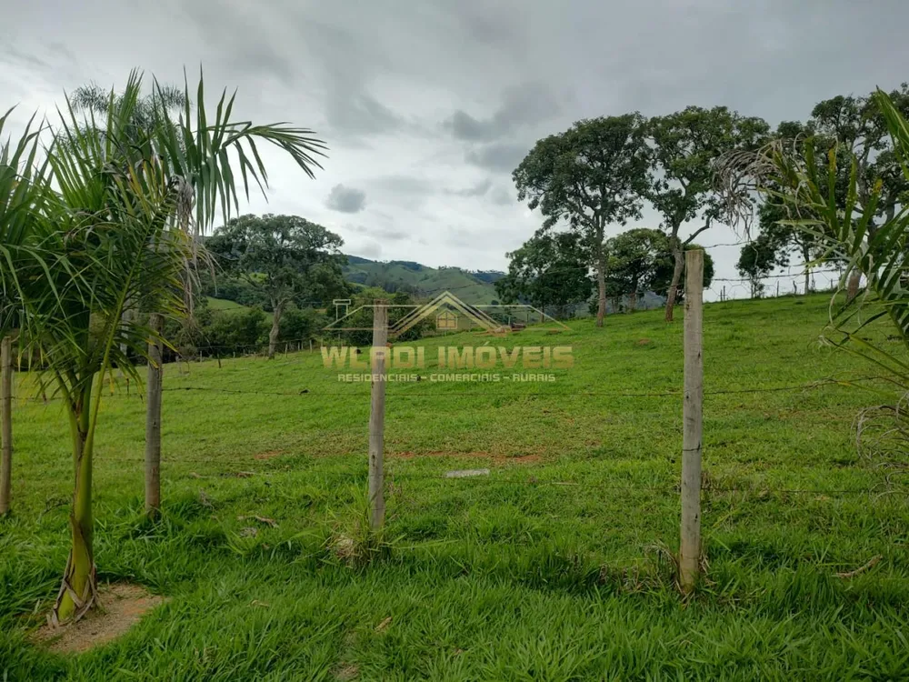 Sítio, 7 hectares - Foto 1