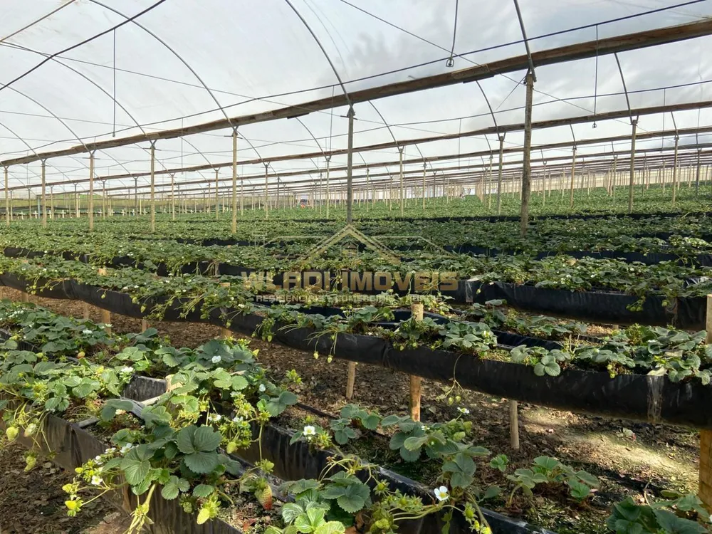 Fazenda, 70 m² - Foto 1