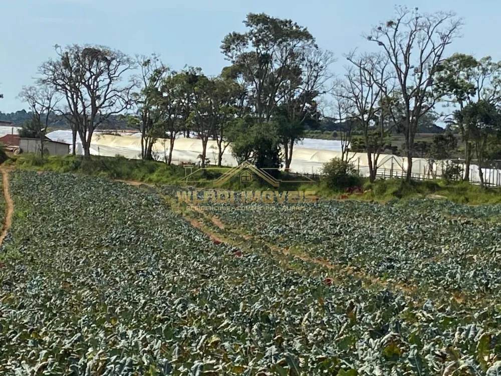 Fazenda, 70 m² - Foto 2