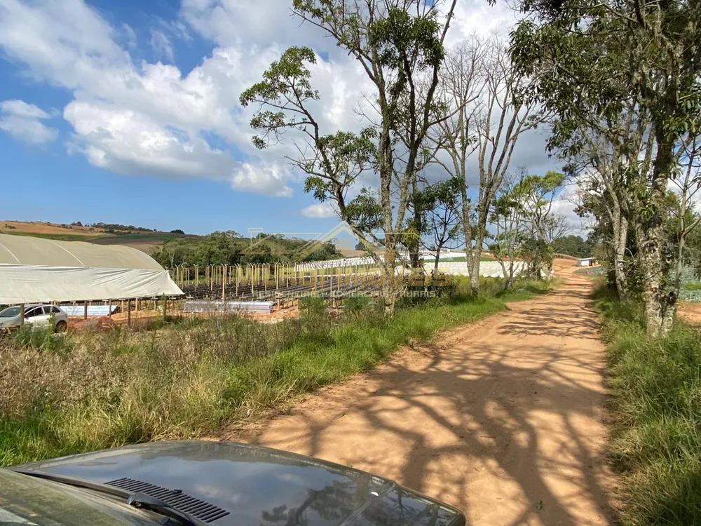 Fazenda, 70 m² - Foto 5