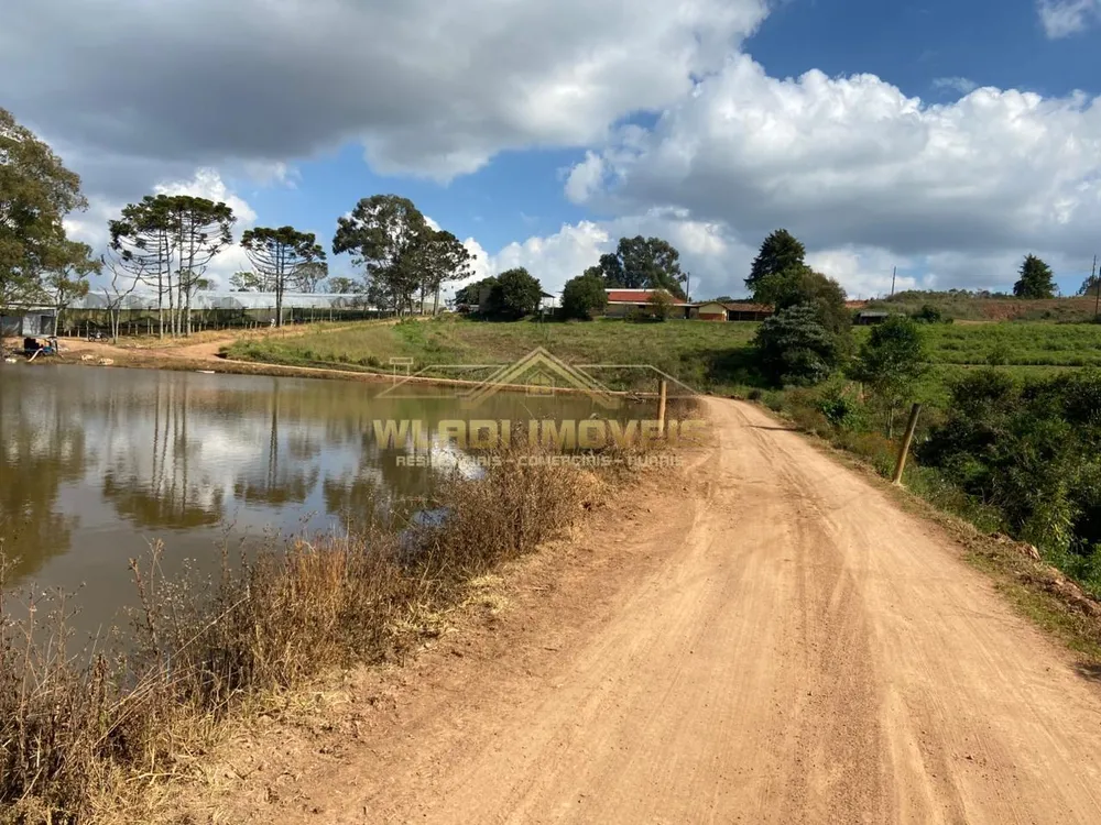Fazenda, 70 m² - Foto 6