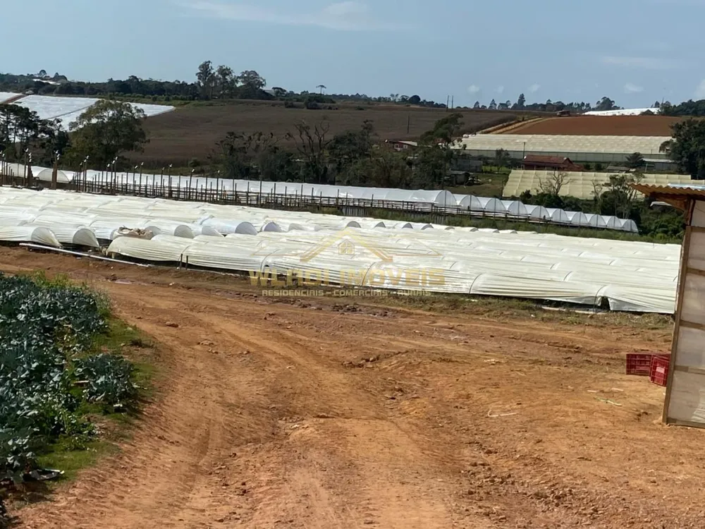 Fazenda, 70 m² - Foto 3