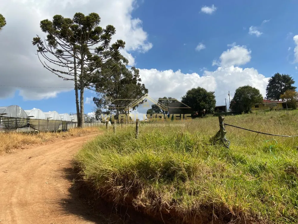 Fazenda, 70 m² - Foto 7