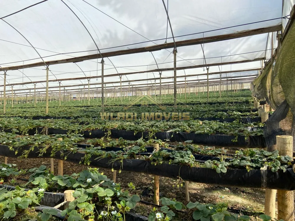 Fazenda, 70 m² - Foto 4