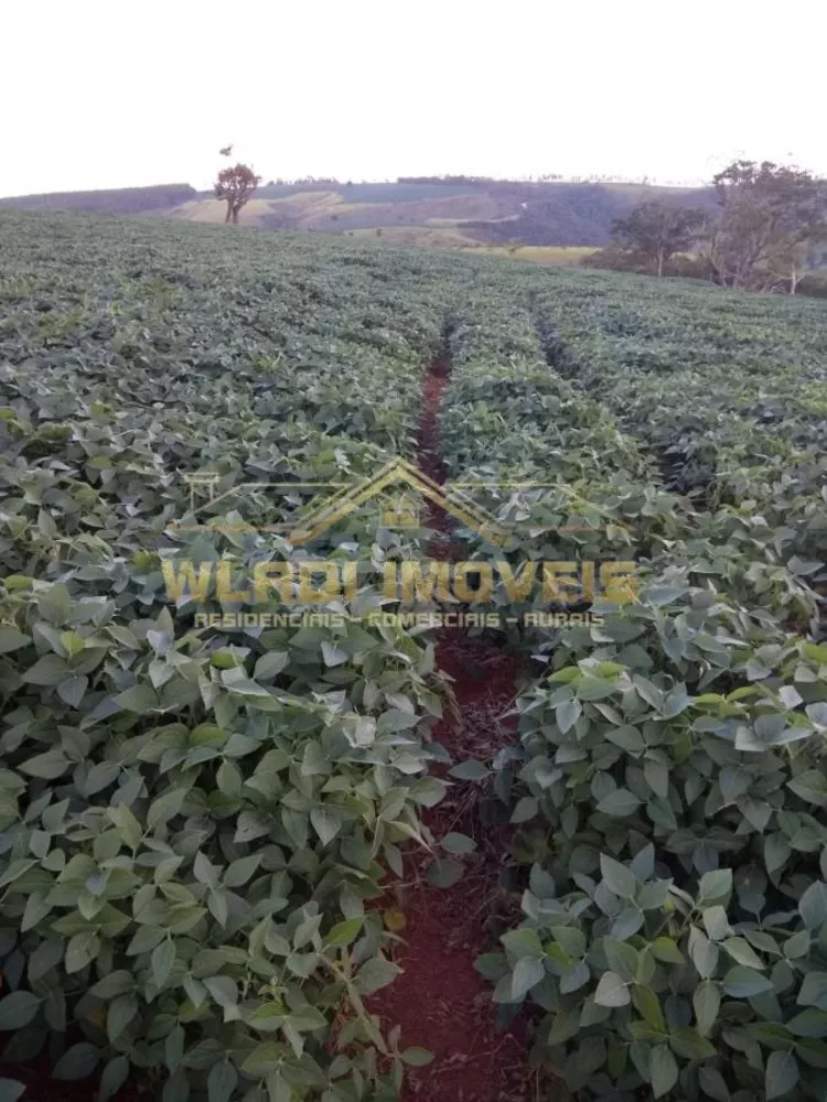 Fazenda, 1280 m² - Foto 7