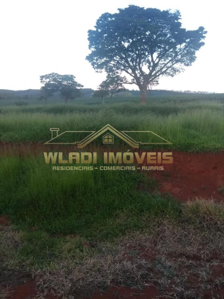 Fazenda à venda, 1280m² - Foto 5
