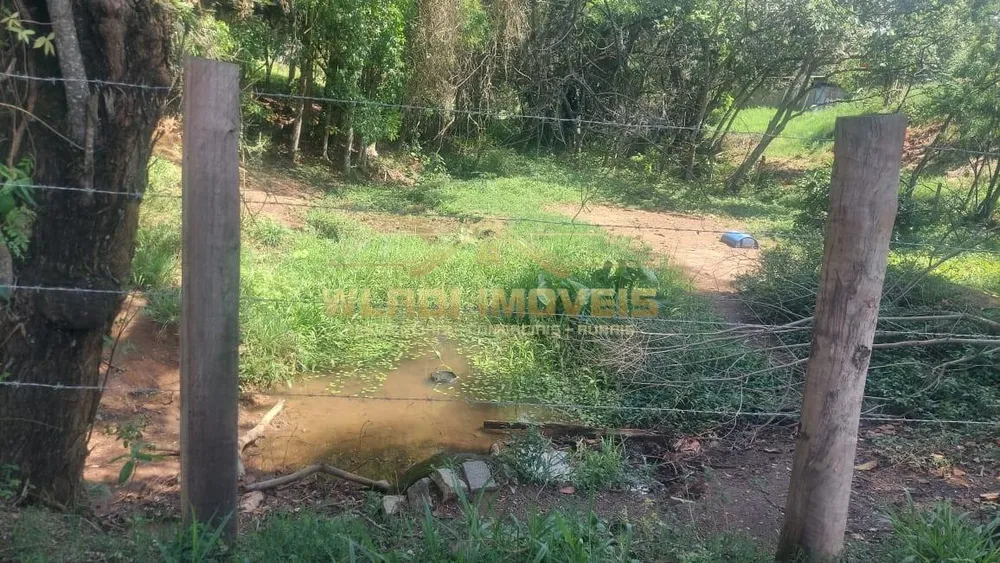 Terreno, 6 hectares - Foto 1