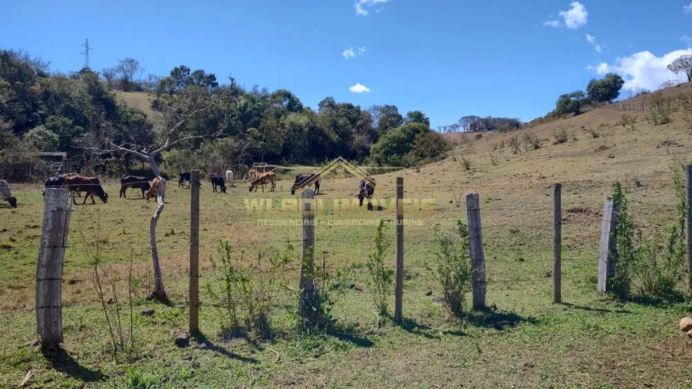 Terreno, 2 hectares - Foto 6