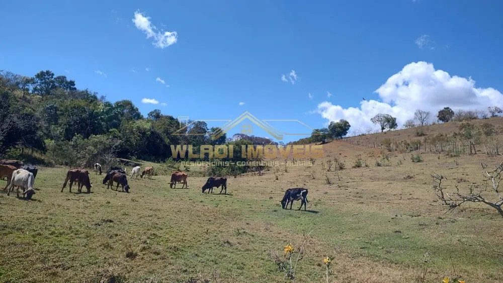 Terreno, 2 hectares - Foto 2