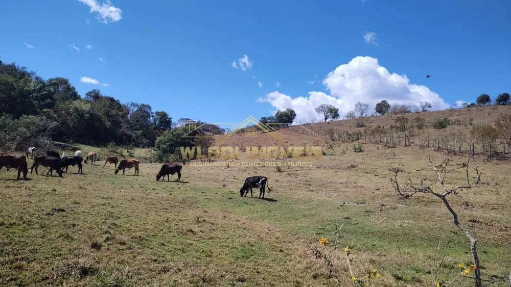 Terreno, 2 hectares - Foto 4
