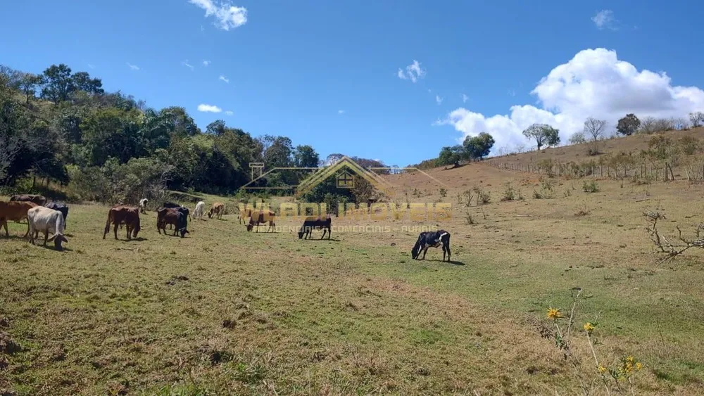 Terreno, 2 hectares - Foto 3
